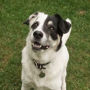 Meet your Posher, Marlo